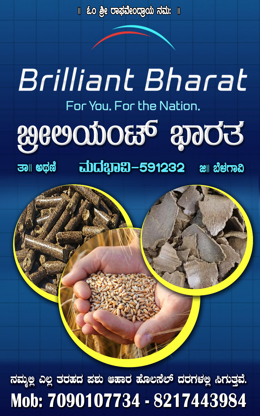 Brilliant Bharat Logo